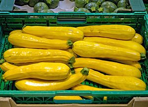 Golden zucchinis produced in the Netherlands for sale in a supermarket in Montpellier, France, April 2013