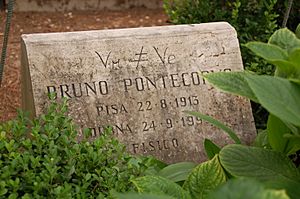 Gravestone of Bruno Pontecorvo - Cimitero acattolico di Roma - Italy - 1 July 2011