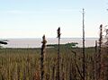 Great Slave Lake