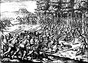 Guerra Arauco