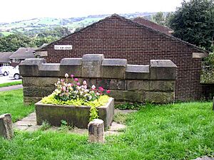 Holy Well, Holywell Green, Stainland - geograph.org.uk - 254569