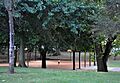 Irving Park, Portland, Oregon