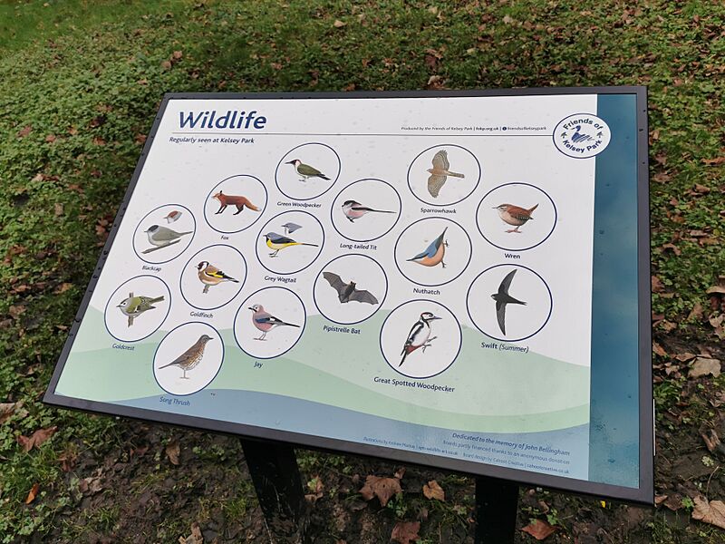 Kelsey Park wildlife