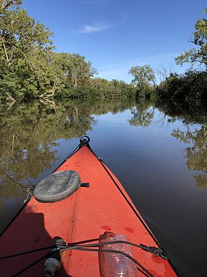 Lagoon Kayak