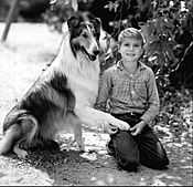 Lassie Jon Provost 1961