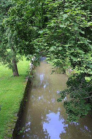 Limestone Run looking upstream in Union County