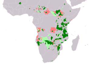 Distribution of African elephant, showing a highlighted range (in green) with many fragmented patches scattered across the continent south of the Sahara Desert