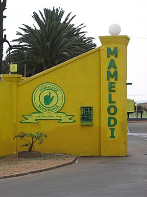 Mamelodi Sundowns-002