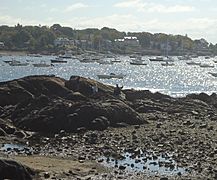 Marblehead Massachusetts view from town towards harbor and peninsula