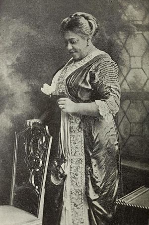 Mary Talbert, President of the National Association of Colored Women