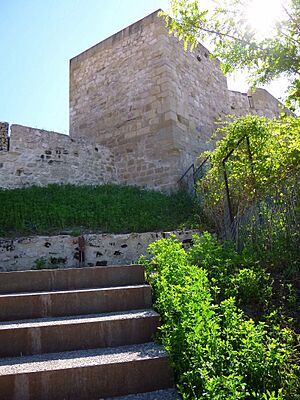 Miranda de Ebro - Centro de Interpretación de la Miranda Antigua (CIMA), Castillo 06