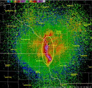 Mississippi River mayfly hatch on radar