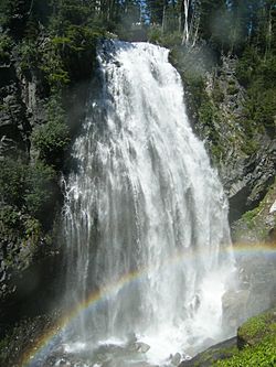 Mount Rainier National Park (32854086455)