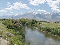Owens Valley Sh-p6250166