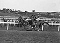 Phar Lap competing in a race, Melbourne, ca. 1930 