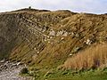 Pondfield cove cliffs dorset