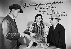 Promotional photograph of cast of 1950's television show "Boston Blackie."
