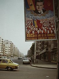 Propaganda poster Ceausescu