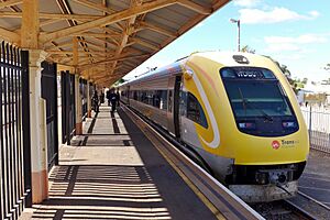 Prospector, Kalgoorlie, 2016 (01)