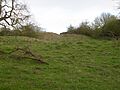 Racecourse Farm Fields 5