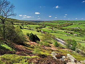 Rivelin Valley - geograph.org.uk - 171316
