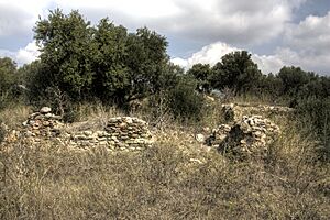 Roses - Castell de la Garriga