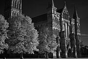 Salisbury Cathedral's spire and west facade