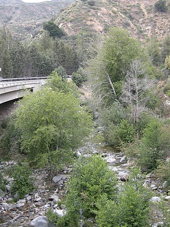 San-Gabriel-River-North-Fork.jpg