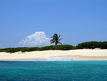 Scrub Island (Anguilla).jpg
