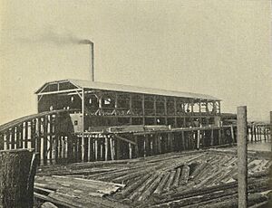 Seattle - Kerry Lumber Mill - 1900
