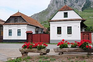 Situl rural Rimetea