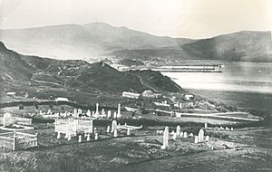 Southern Cemetery, Dunedin 1860s
