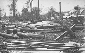 StateLibQld 2 294907 Remains of the Roman Catholic Church after the 1911 cyclone, Mossman