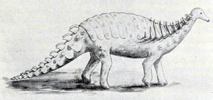 Struthiosaurus Nopsca 1915