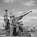 The British Army in the United Kingdom 1939-45 H39407