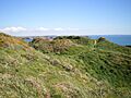 The hillfort on Penpleidiau - geograph.org.uk - 1255122