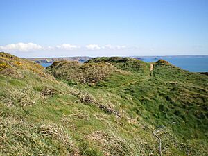 The hillfort on Penpleidiau - geograph.org.uk - 1255122