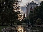 The swan pond at the Boston Public Garden