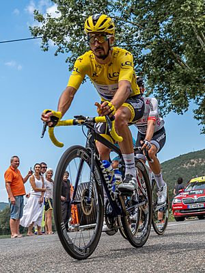 Tour de France 2019, étape 11, Julian Alaphilippe