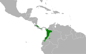 Turdus obsoletus map.svg