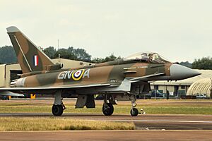 Typhoon - RIAT 2015 (20742048059)