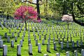 USA-Arlington National Cemetery0