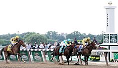 Union Rags - 2012 Belmont Stakes.jpg