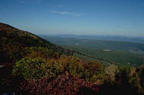 View From Dolly Sods.JPG