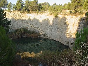 Vilobi del penedes pelags.jpg