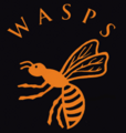 Wasps 250