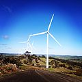 Waterloo Wind Farm, South Australia 2014-08-03 10-03