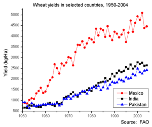 Wheat yields in selected countries, 1951-2004