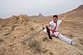 Wushu (sport)