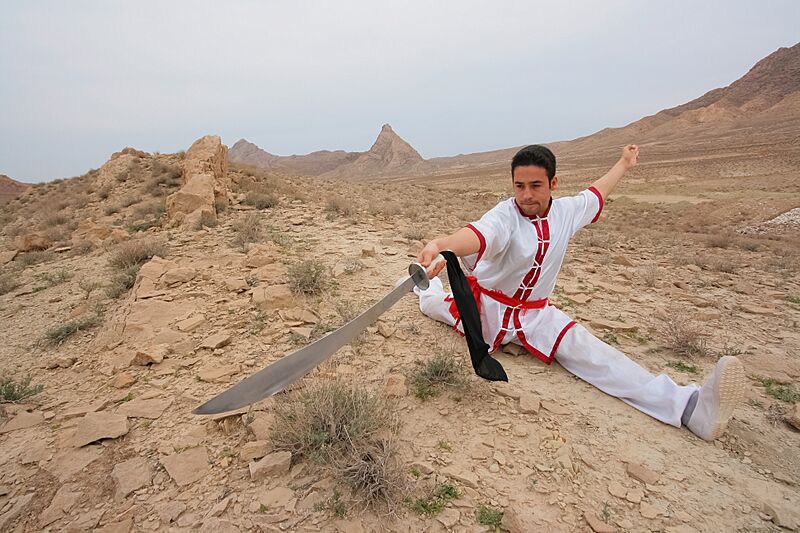 Wushu (sport)